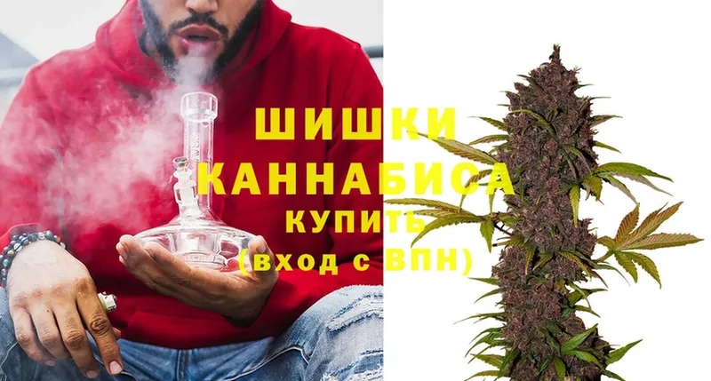 где найти наркотики  Шарья  Канабис Ganja 